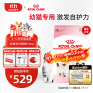 皇家幼貓貓糧 幼貓奶糕 K36 通用糧 4-12月 10KG