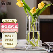呂姆克玻璃花瓶水養(yǎng)插花瓶水培富貴竹客廳花瓶擺件透明直筒款25cm5517
