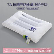 艾薇 A類(lèi)全棉抗菌決明子防污防水防油枕芯單人纖維枕48*74cm 三防枕