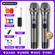山水（SANSUI） 真U段無(wú)線(xiàn)調頻麥克風(fēng)金屬話(huà)筒一拖二家庭KTV唱歌專(zhuān)業(yè)會(huì )議專(zhuān)用演講戶(hù)外音響