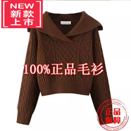 WVHK羊毛衫女小眾毛衣女高腰短款大翻領(lǐng)春秋冬新款娃娃領(lǐng)毛衣針織衫上 咖啡色【版面料柔軟親膚】 S 80-90斤