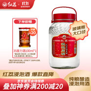 紅荔牌米香型白酒 50度浸泡酒5L 紅荔紅米酒廣東米酒青梅藥材養(yǎng)生酒泡酒