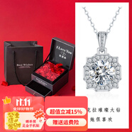 燮樂 1克拉莫桑石吊墜附帶項(xiàng)鏈 經(jīng)典六爪莫桑石女士戒指  多款可選 2克拉豪華吊墜(附帶銀項(xiàng)鏈)