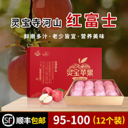 靈寶蘋果 LINGBAO APPLE河南靈寶寺河山紅富士天然富硒鮮嫩多汁老少皆宜禮盒裝（無標(biāo)） 95-100mm(12個裝)