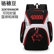 雙肩包男學(xué)生運動(dòng)包大容量旅行鞋袋收納書(shū)包足球籃球球包訓練背 黑白-詹姆斯40000分紀念款