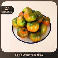 京鮮生 山東鐵皮草莓西紅柿 凈重4.5斤 單果60-150g水果番茄源頭直發(fā)