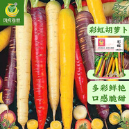 鳳鳴雅世胡蘿卜種子種籽孑子紅水果蘿卜羅卜的紫黑菜種籽紫色黃胡羅卜種子 彩虹胡蘿卜種子10克
