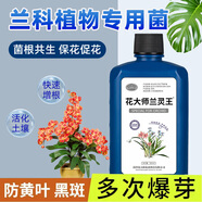 花大師蘭靈王蘭花專用營養(yǎng)液肥料多箭素蘭陵王蘭花肥料蘭菌王催芽促花肥 蘭靈王525ml*4瓶