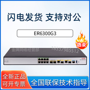 華三（H3C）ER系列企業(yè)路由器千兆 ER6300G3