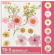 OIMG真樹(shù)葉植物標本干花壓花幼兒園手工貼畫(huà)diy材料包制作書(shū)簽花朵制 乳白色 素雅系列【TD5】干花包12
