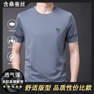 黎依奴（LISLAVE）夏季涼感桑蠶絲純色短袖T恤男針織薄款半袖商務(wù)休閑圓領(lǐng)體恤上衣 灰色46622 M（建議90-115斤）