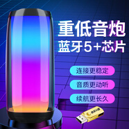 拼搏者便攜藍牙音箱高音質(zhì)無(wú)線(xiàn)電腦音響臺式微信收款桌面智能音響廣場(chǎng)舞戶(hù)外喇叭擴音器小低音炮立體環(huán)繞 【頂配版】+32G優(yōu)盤(pán)（帶歌曲）