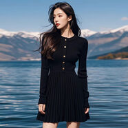 小紅書(shū)爆款赫本風(fēng)黑色針織連衣裙子女秋冬季2024新款別致絕美感套 黑色秋冬連衣裙連衣裙秋冬 2XL