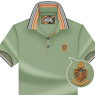 AU. ASPOLO品牌保羅衫短袖t恤男夏季翻領(lǐng)桑蠶絲T恤衫男士商務(wù)休閑中青年體恤 薄荷綠色 L