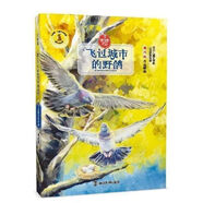 飛過(guò)城市的野鴿高巧林著老師推薦三四五六年級(jí)閱讀南京大學(xué)出版社 飛過(guò)城市的野鴿