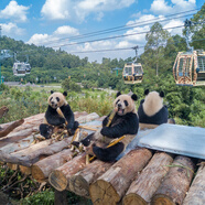 【周年大促-2天1晚】廣州長(cháng)隆熊貓/長(cháng)隆酒店/香江酒店套票野生動(dòng)物園/歡樂(lè )世界/飛鳥(niǎo)樂(lè )園一票暢玩套餐 部分平日/周五/周六/節假日補費專(zhuān)用