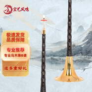 宏藝鳳鳴（HongYiFengMing）專業(yè)烏木降B金碗送哨片成人入門初學(xué)教程樂器全套