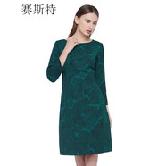 賽斯特女裝新款中長(zhǎng)款秋冬長(zhǎng)袖針織連衣裙 A0630 綠色 AM(160/84)