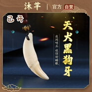 沐芊 狗牙吊墜黑狗牙護(hù)身符嬰兒真狗牙飾品成人項(xiàng)鏈男平安扣真品小孩 【已開】狗牙吊墜 黑色