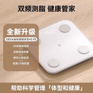 小米小米體脂秤S400高精度家庭耐用體重秤藍牙網(wǎng)關(guān)男女小型減肥電子秤 【順豐速發(fā)】小米體脂秤 S400 米家體脂秤S400