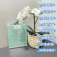 梵潔詩蜜樂兒潤(rùn).水漾甜心面膜改善暗沉提亮淡紋控油補(bǔ)水舒緩修護(hù)保濕潤(rùn)