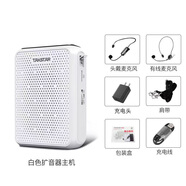 得勝（TAKSTAR）E300W 無線小蜜蜂擴(kuò)音器教師專用大功率喇叭導(dǎo)游藍(lán)牙小音箱FM收音機(jī) E300W白色+得勝HM-700有線耳麥