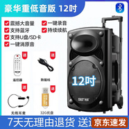 先科（SAST）廣場舞音響專業(yè)戶外k歌音箱帶話筒家用拉桿藍牙手拉麥克風 12吋+單耳麥+U盤