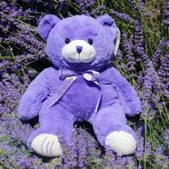A&Q新疆伊犁薰衣草小熊紫色公仔枕頭娃娃助睡眠抱抱熊毛絨可愛(ài)送女友 薰衣草小熊50厘米左右