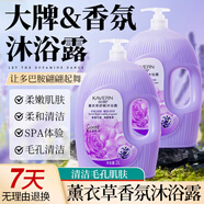 佳朗玫瑰沐浴露持久留香72小時(shí)香水乳液家庭裝大瓶男女士通用官方正品 【1000ml】薰衣草香