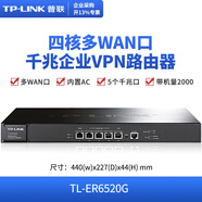TP-LINK普聯（TP-LINK）雙核多WAN口千兆企業(yè)VPN路由器 防火墻/VPN/AP管理 四核TL-ER6520G