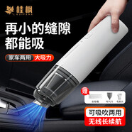 桂楓 除塵器家用充電無線大吸力寵物手持汽車兩用便攜式除毛器