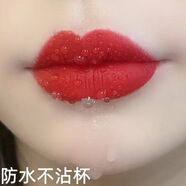 蘭奕（LANYI）肉桂奶茶色素顏不沾杯媽媽口紅適合中老年人的口紅婦女送禮物顯白 603#傳奇正紅_防水不沾杯