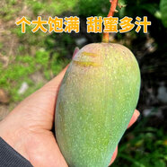 大果芒果金煌芒大青芒桂七芒臺農(nóng)貴妃芒凱特芒廣西海南四川隨機秒 1箱【5斤裝】