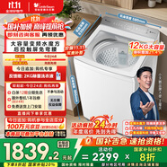 小天鵝（LittleSwan）波輪洗衣機全自動 12公斤大容量 小烏梅輕奢版【TB12VE20DW】水魔方防纏繞 家電國家補貼20%