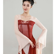 潮思匯古典舞蹈服女飄逸漢唐長(zhǎng)款連衣裙古風(fēng)紗衣仙女練功服漢素舞蹈服 醉紅妝單紗衣 2XL