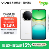 vivo Y300 國家補(bǔ)貼 新一代超級揚(yáng)聲器 6500mAh超薄藍(lán)海電池 超抗摔護(hù)眼直屏 拍照 AI 手機(jī) 瑞雪白 8GB+256GB 官方標(biāo)配