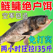 鄧剛鰱鳙餌料浮釣鰱鳙野釣四季通殺鰱魚花鰱白臉大頭魚爆護(hù)餌料 單瓶鰱鳙小藥【100ml】