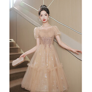 麗佰昕晚禮服女2025新款輕奢小眾高端小個子宴會氣質(zhì)高級感主持人生日裙 卡其中長 L  建議100-110斤
