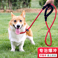 加仕高寵物P鏈L號 狗狗牽引繩狗繩狗鏈項圈中小型犬外出帶遛訓犬狗帶