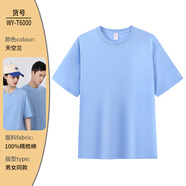 續印純棉圓領(lǐng)短袖定制T恤印LOGO印字刺繡團建活動(dòng)畢業(yè)班服廣告文化衫 WY-T6000短袖天空藍 3XL