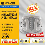 諾泰（nuotai）護(hù)腰帶腰間盤腰肌透氣腰托護(hù)腰久坐神器久站夏季腰帶男女 【龍脊款】L 適合體重100-125斤 【腰部支撐升級款】禮盒包裝