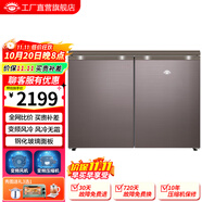 尊貴（ZUNGUI）BCD-219WB 219升臥式冰箱家用變頻風(fēng)冷無(wú)霜小型柜式雙門(mén)櫥柜嵌入式廚房矮電冰箱 變頻拿鐵咖