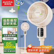 澳柯瑪（AUCMA）遙控交流定頻空氣循環(huán)扇家用電風(fēng)扇落地扇輕音節能定時(shí)臺立兩用電扇換氣扇KYT-15H322(Y)