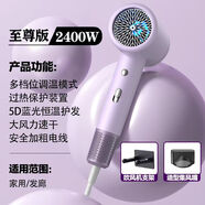 柏高發(fā)廊吹風(fēng)機(jī)家用輕音負(fù)離子大功率不傷發(fā)電吹風(fēng)大風(fēng)力速干發(fā)吹風(fēng)筒 【淺紫色】2400W大功率