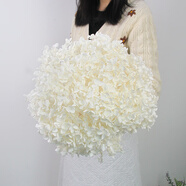 匠心綻放繡球超大頭永生花天然干花束真花輕奢高端擺件客廳裝飾白色20272