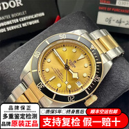 【二手99新】帝陀（TUDOR）碧灣系列自動機械男表 夜光防水運動商務休閑手表 二手奢侈品腕表 M79733N-0004間金鋼帶金盤41MM
