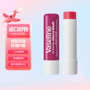 凡士林（Vaseline）海外版唇膏 滋養滋潤修護補水保濕潤唇潤唇棒 4.8g 凡士林唇棒4.8g 櫻桃