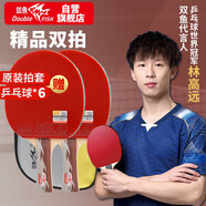 雙魚乒乓球拍橫拍雙拍對拍套裝5D五星兵乓球拍娛樂訓練球拍2只裝贈6球
