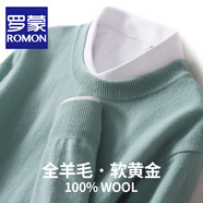 羅蒙（ROMON）秋冬新款100%羊毛衫男士圓領(lǐng)純色針織打底衫休閑百搭套頭毛衣長(cháng)袖 薄荷綠 2XL 【建議體重170-190斤】