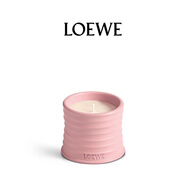 羅意威（LOEWE）常春藤香薰蠟燭170g小號新婚禮物送女友高檔伴手禮生日禮物